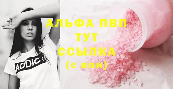 ПСИЛОЦИБИНОВЫЕ ГРИБЫ Елабуга