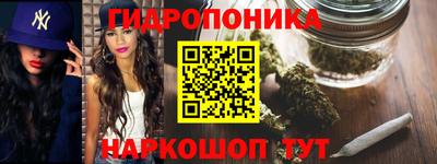 индика Донецк