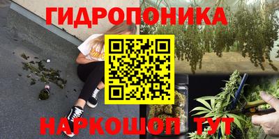 индика Донецк