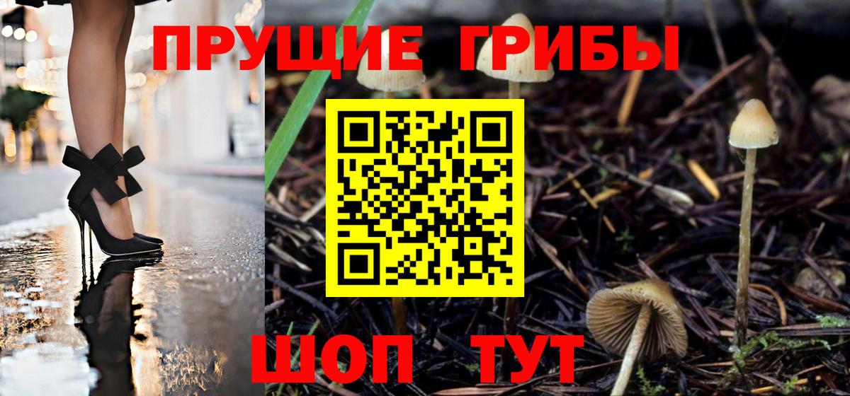 Галлюциногенные грибы мицелий Ирбит