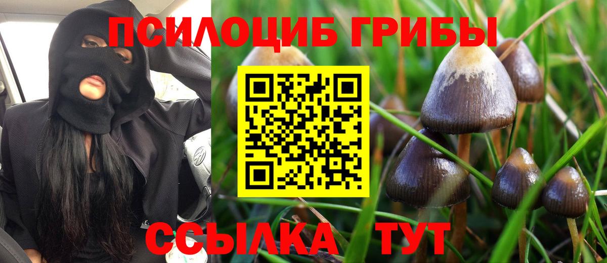 Псилоцибиновые грибы мухоморы  Галлюциногенные грибы Magic Shrooms  Ирбит  магазин продажи наркотиков  Вход с VPN 